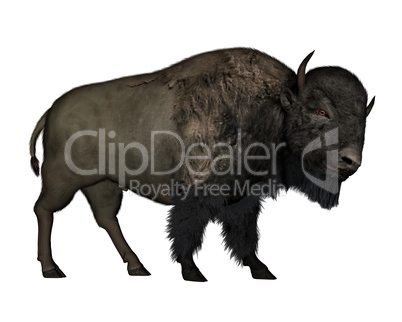 Bison walking - 3D  render