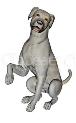 Sad labrador dog sitting - 3D render