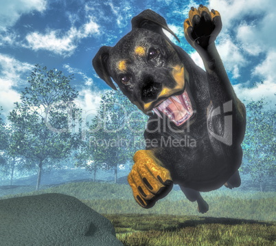 Rottweiller dog runnning - 3D render