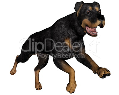 Rottweiller dog runnning - 3D render