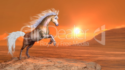 Horse rearing by sunset - 3D render