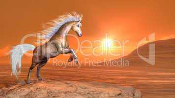 Horse rearing by sunset - 3D render