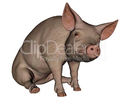 Pig sitting - 3D render