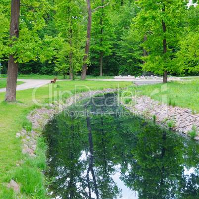 stream in the summer park