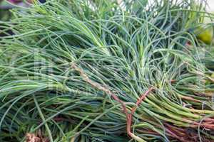 fresh tarragon