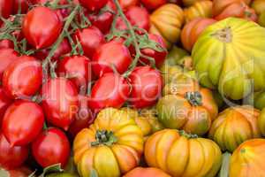 fresh tomatoes