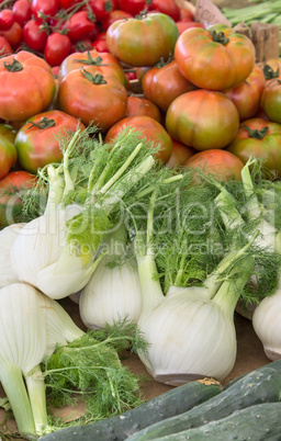 tomato and fennel