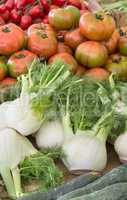 tomato and fennel