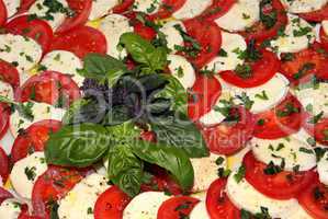 Tomate Mozzarella Salat Platte