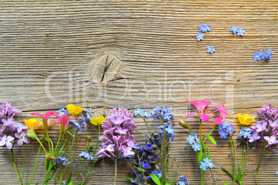 Frühlingsblumen auf Brett