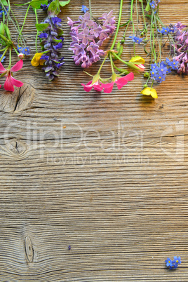 blumen auf einem  Holzbrett