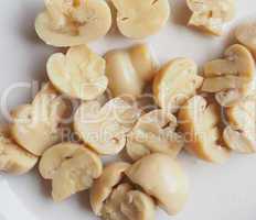 Champignon mushroom dish