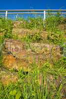 Natursteinmauer für Eidechsen und Pflanzen
