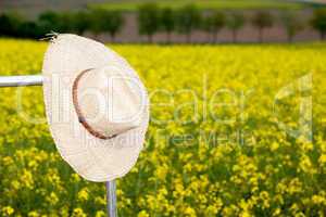 Picture frames with straw hat in rape field