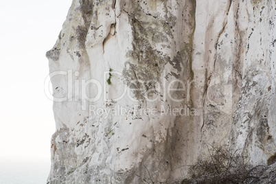 Chalk cliff at moens klint