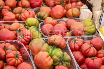 fresh tomatoes