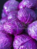 Purple cabbage in market place