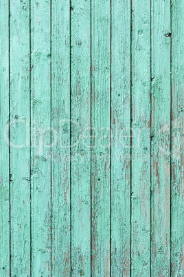 Green weathered wooden door texture