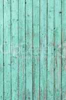 Green weathered wooden door texture