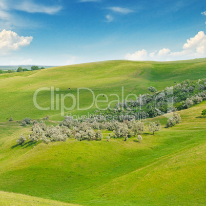landscape with hilly field and blue sky