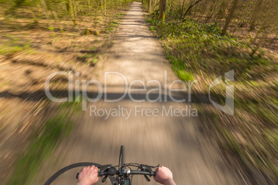 Biker in Forest