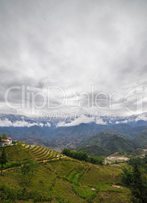 Rice field terraces. Sapa Vietnam