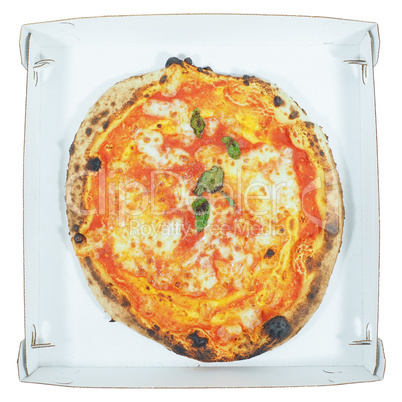 Margherita pizza carton isolated