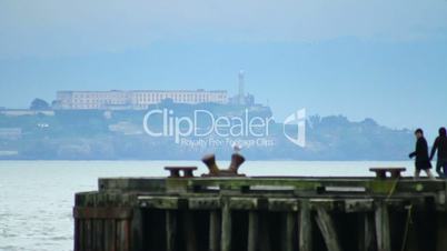 Alcatraz Island Tourists