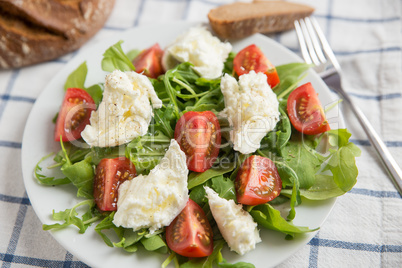 Salat mit Büffel Mozzarella