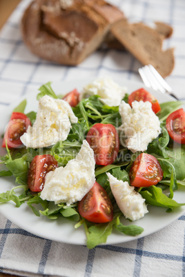 Salat mit Büffel Mozzarella