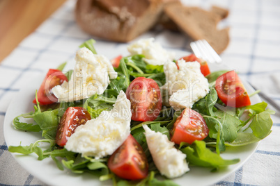 Salat mit Büffel Mozzarella