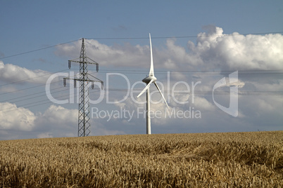 Strommast und Windrad hinter Kornfeld