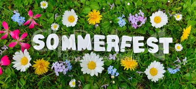 Sommerfest Text auf Blumen Wiese