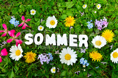 Sommer text auf Blumen Wiese