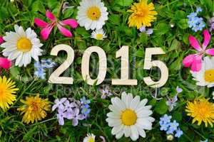 2015 Jahr Silvester Neujahr