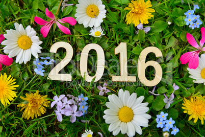 2016 Jahr Silvester Neujahr