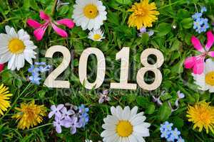 2018 Jahr Silvester Neujahr