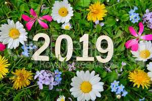 2019 Jahr Silvester Neujahr