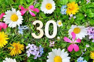 30 Geburtstag Zahlen