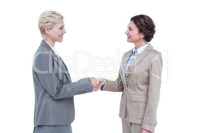 Smiling women shaking hands