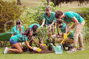 Happy friends gardening for the community