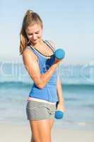 Beautiful fit woman holding dumbbells