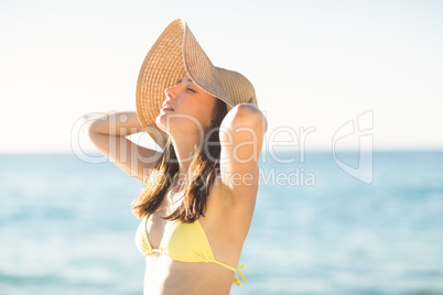 Brunette relaxing with a straw hat