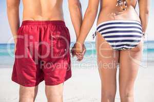 Rear view of couple holding hands at the beach