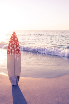 surf board standing on the sand