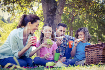 Happy family having a picnic in the park