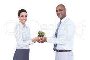 Business colleagues holding plant and looking at camera