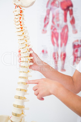 Doctor showing anatomical spine