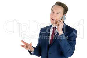 Businessman having a phone call