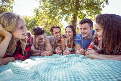 Happy friends in the park having picnic